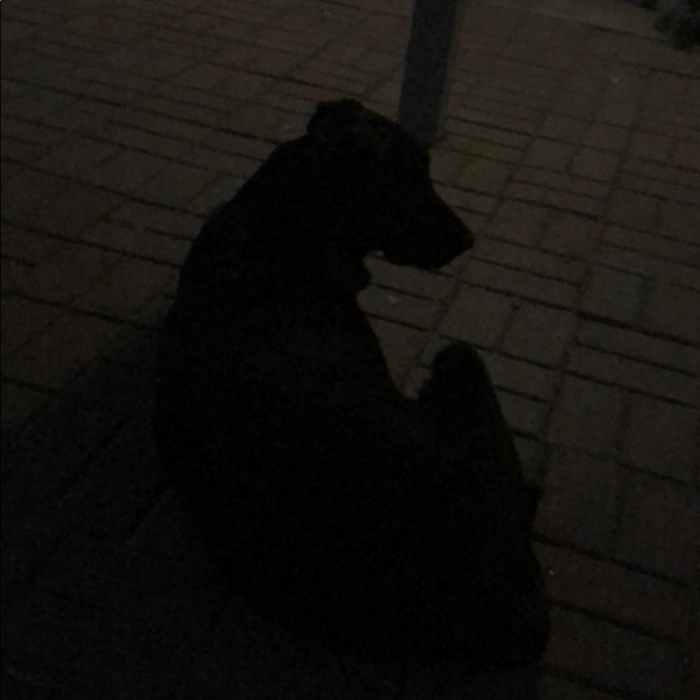 Meet your Posher, Brandie